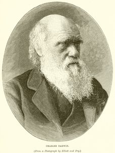 Charles Darwin - English School