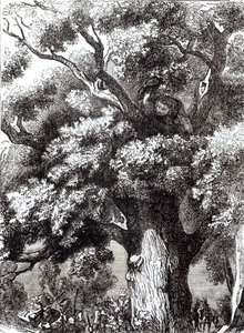 Charles II (1630-85) caché dans le chêne, 14 octobre 1651 - English School