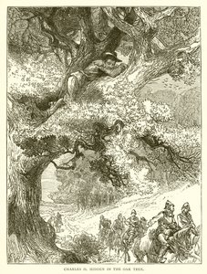 Charles II caché dans le Chêne - English School