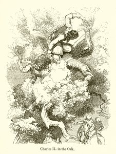 Charles II dans le chêne - English School