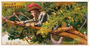 Charles II dans le chêne - English School