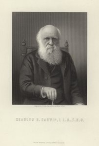 Charles R. Darwin - English School