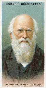 Charles Robert Darwin