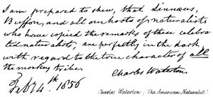 Charles Waterton (Le Naturaliste Américain) - English School