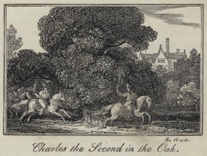 Charles II dans le chêne (gravure) - English School