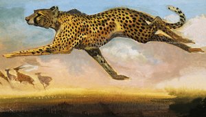 Guépard