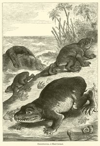 Cheirotherium, ou animal à main - English School