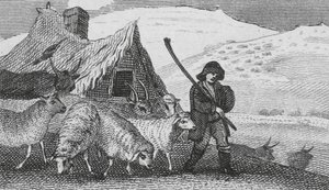 Bergers de Cheviot
