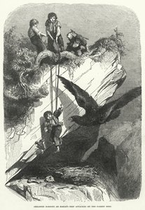 Enfants volant un nid d