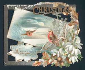 Carte de Noël avec deux rouges-gorges - English School