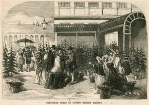 Arbres de Noël au marché de Covent Garden, Londres - English School