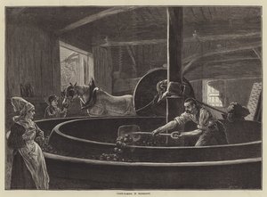 Fabrication de cidre en Normandie - English School