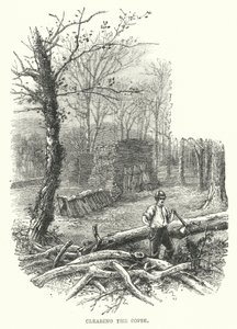 Défrichage du taillis (gravure) - English School