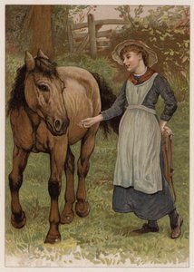 Clever Dobbin - English School