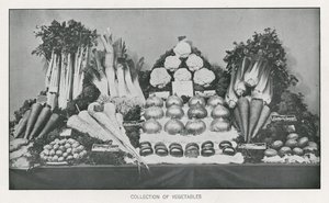 Collection de légumes