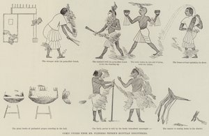 Frise comique des découvertes égyptiennes de M. Flinders Petrie - English School