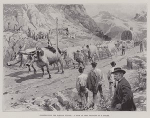 Construction du tunnel du Simplon, une équipe de bœufs apportant une chaudière - English School
