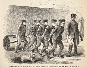 Détenus travaillant dans le jardin, surveillés par un gardien armé, illustration de The Criminal Prisons of London and Scenes from Prison Life par Henry Mayhew et John Binny, pub. 1862 - English School