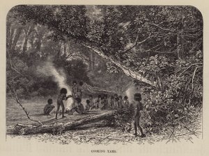 Cuisson des ignames (gravure) - English School