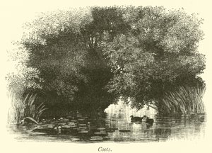 Foulques - English School