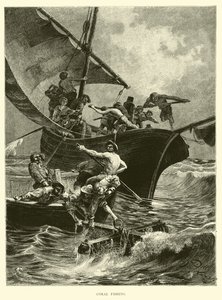 Pêche au corail - English School