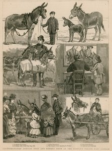 Spectacle de poneys et d