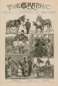 Spectacle de poneys et d