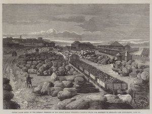 Balles de coton au terminus de Bombay du Grand Chemin de Fer Péninsulaire Indien prêtes pour l