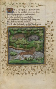 Illustration d
