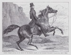 Comte d