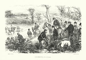 Coursing (gravure)