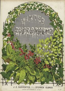 Couverture de Verts d