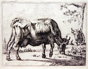 Vaches au pâturage - English School