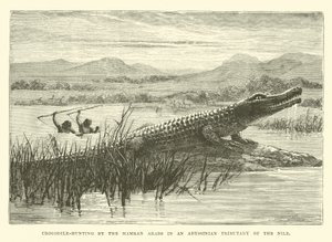 Chasse au crocodile par les Arabes Hamran dans un affluent abyssinien du Nil - English School