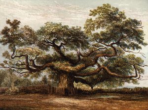 Crouch Oak, Addlestone - English School