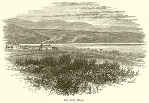 Moor de Culloden - English School