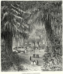 Jardins de cyprès de Chapultepec (gravure) - English School
