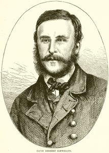 David Herbert Llewellyn - English School