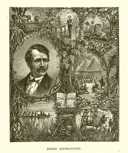David Livingstone - English School