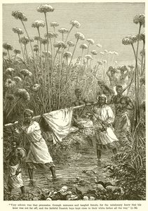 David Livingstone sur une civière