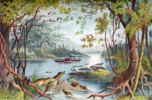 Le navire de David Livingstone, Le Ma-Robert, sur le fleuve Zambèze, Afrique, lors de son expédition sur le Zambèze au XIXe siècle. De La Vie et les Explorations du Dr. Livingstone publié vers 1875