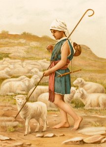 David gardant ses moutons