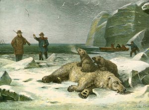 Ours polaire mort et ses petits