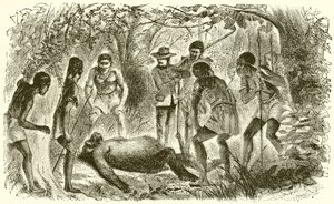 Mort du premier gorille de Du Chaillu - English School