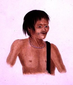 Demerara - English School