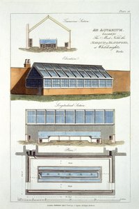 Conception pour un aquarium, exécuté pour le Marquis de Blandford à Whiteknights, 1806 - English School