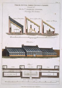 Conception pour une maison de pêchers, une serre et une pinède, 1806 - English School
