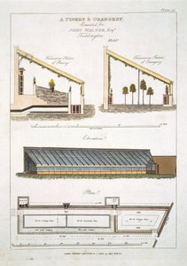 Conception pour une pinède et une orangerie à Teddington, 1806 - English School