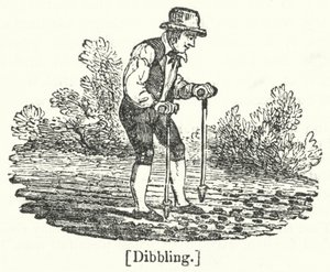 Dibbling