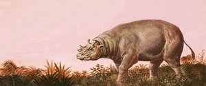 Dinosaure - English School